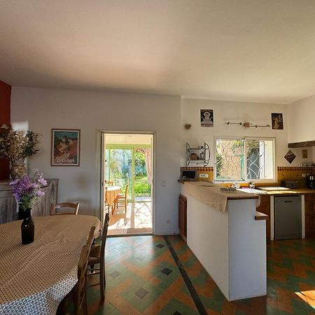 La Boissetane, Maison Provencale Avec Piscine Et Jardin, Au Pied Du Luberon Saint-Martin-de-Castillon Eksteriør bilde