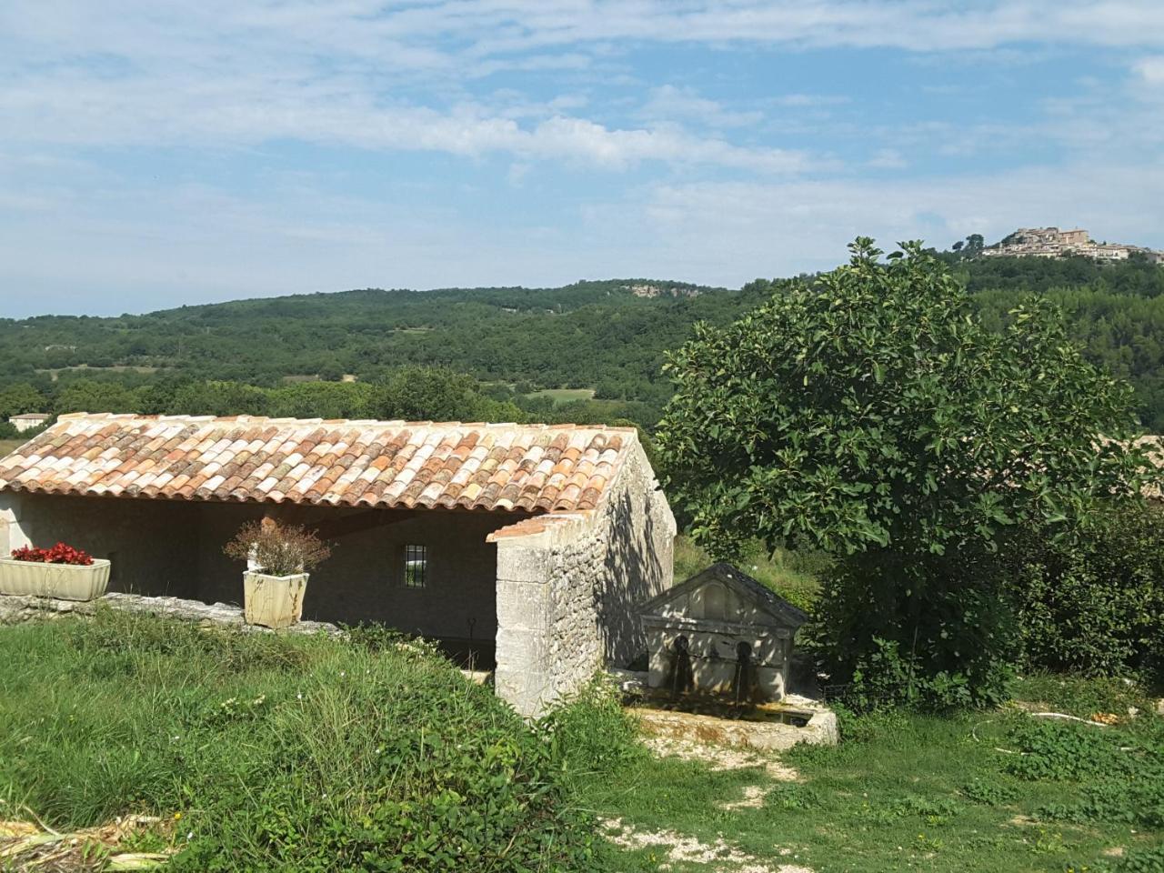 La Boissetane, Maison Provencale Avec Piscine Et Jardin, Au Pied Du Luberon Saint-Martin-de-Castillon Eksteriør bilde